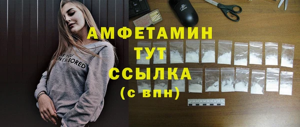 крисы Ростов