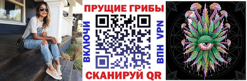 хочу наркоту  Инсар  Галлюциногенные грибы Psilocybine cubensis 